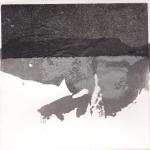 fludel-017