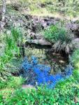 4-gal-Ciel-taille-den-bas-IMG-5556