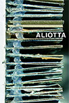 aliotta-plaquette-p