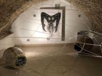 Installation-ARACHNEE--2024---Le-broc-Jpeg
