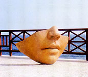 cotto-1