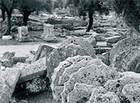 voliotis-2